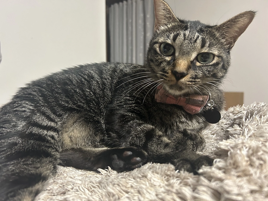 達成！達成しました！