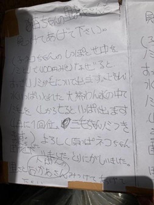 ワンコにゃんこハウス、保護施設の廊下の前に、大きな段ボールが置かれていました。
