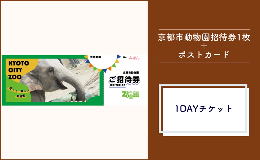 ＜京都市外在住の方および市内企業限定＞京都市動物園招待券＋ポストカード