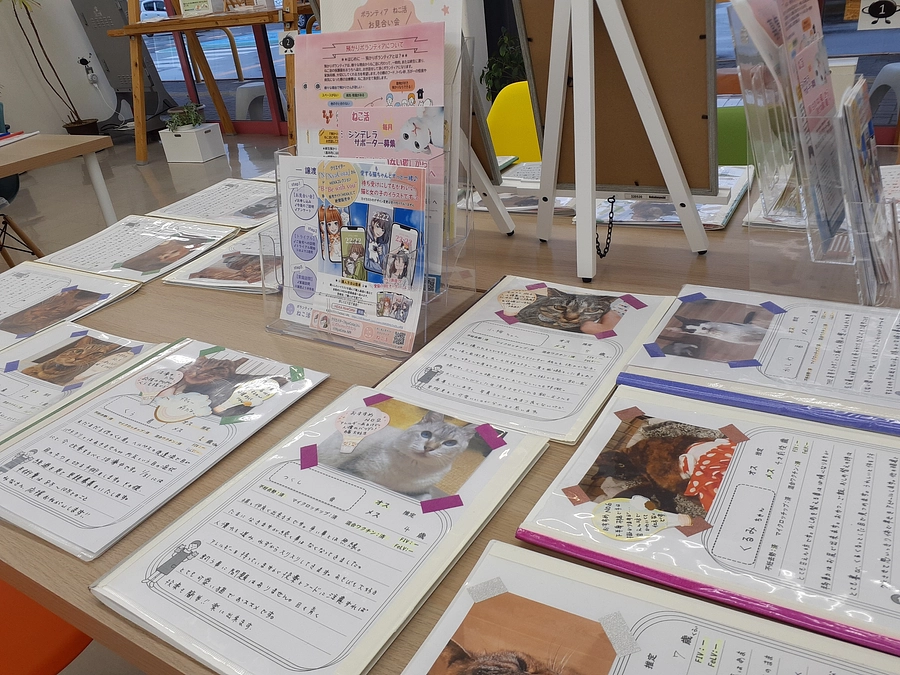 ☆星空ねこ写真でお見合い会☆のご報告