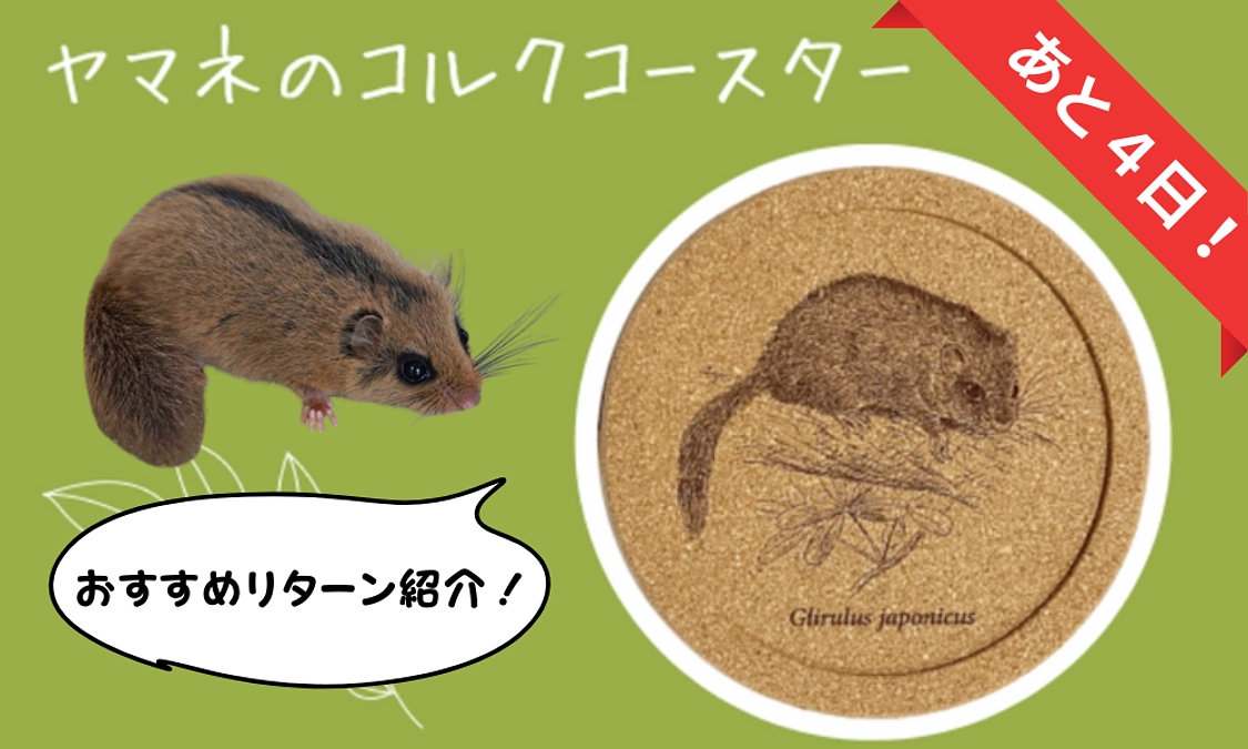 【あと4日！】🎁おすすめリターン紹介！