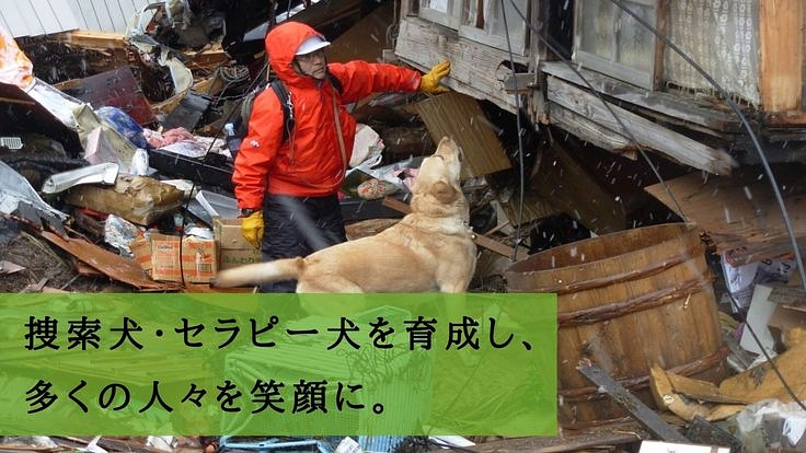 2頭のセラピー犬を育成し、たくさんの人たちを笑顔にしたい。