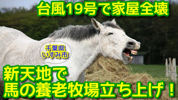 家屋全壊の被災を乗り越え、新天地で馬の養老牧場の立ち上げ！