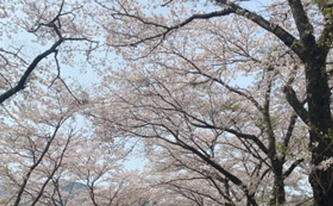 感謝のメール 画像付き