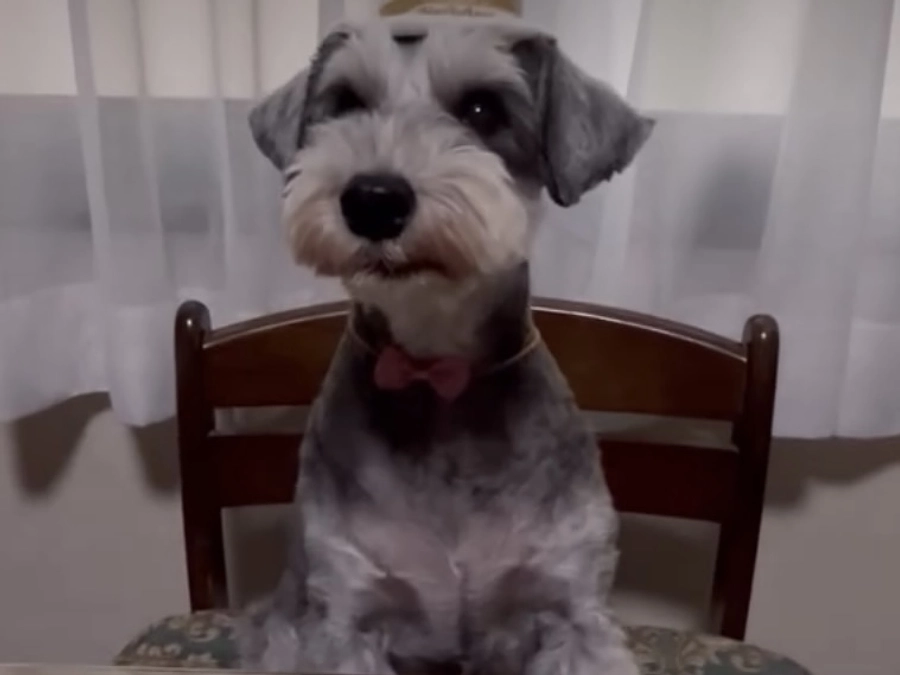 里親さまからのメッセージ　ゆうのご家族より