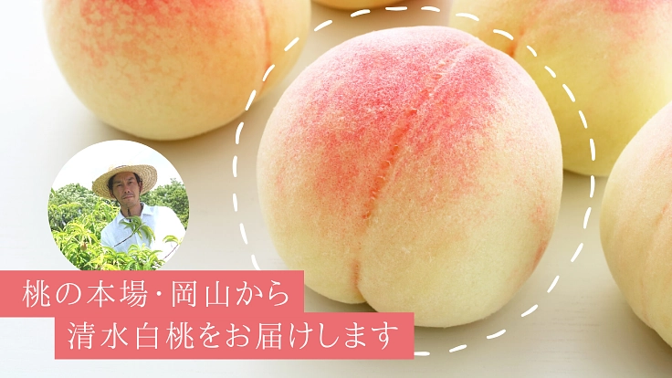 コロナに負けない！本場岡山の清水白桃でステイホームに笑顔を！