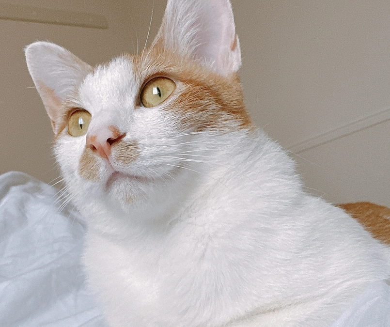 注意喚起の漫画をSNSに投稿しました！