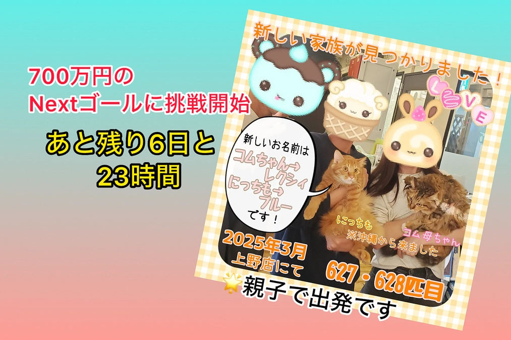 700万円のNextゴールに向けてリスタート＆保護猫カフェでなはない仲間達（3/24 残り6日と23