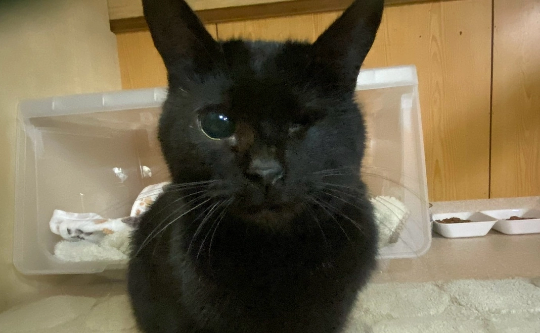 全力応援:すみ子の幸せ