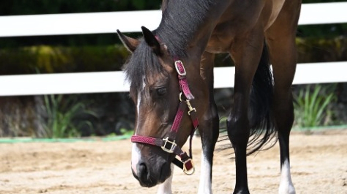 リトレースサポーター活動報告vol.1