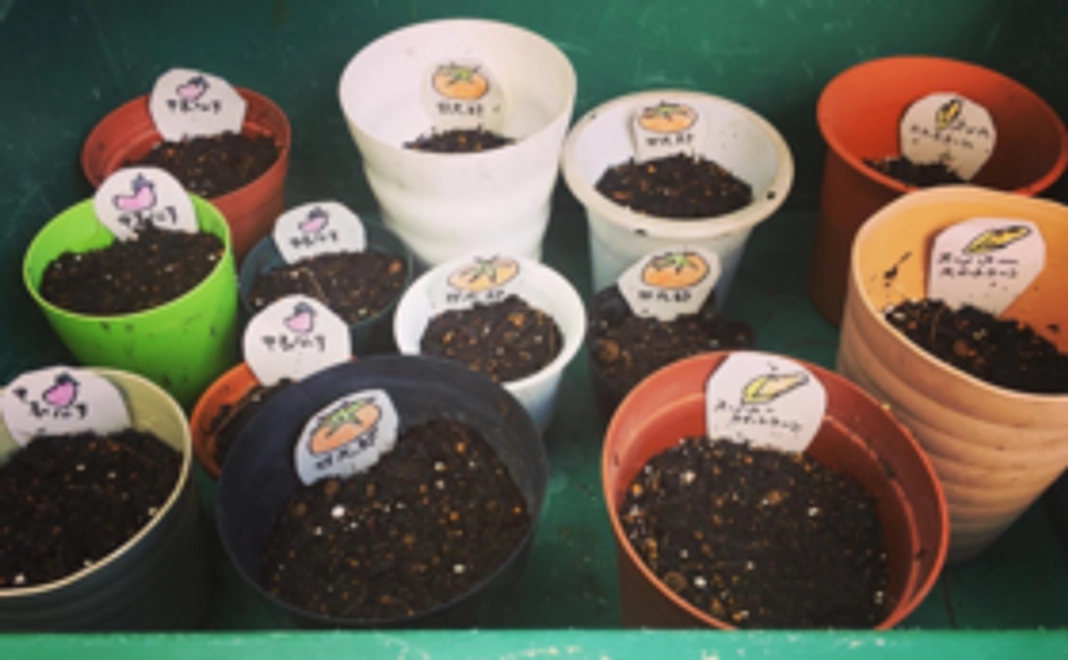 プロジェクトで再生した畑で作った白馬村のお野菜とお手紙