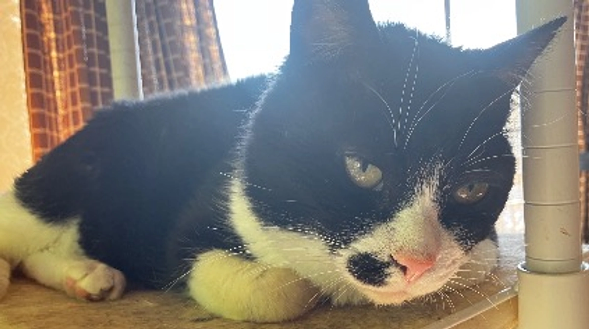 目標達成ありがとうございます。