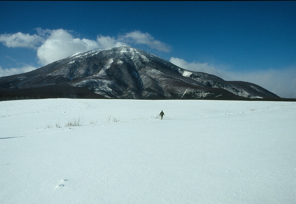 開催初日！30％に到達することができました！心より感謝を込めて。