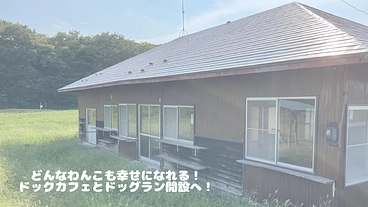 保護犬と里親を繋ぐドックカフェとドッグランをつくりたい！ のトップ画像