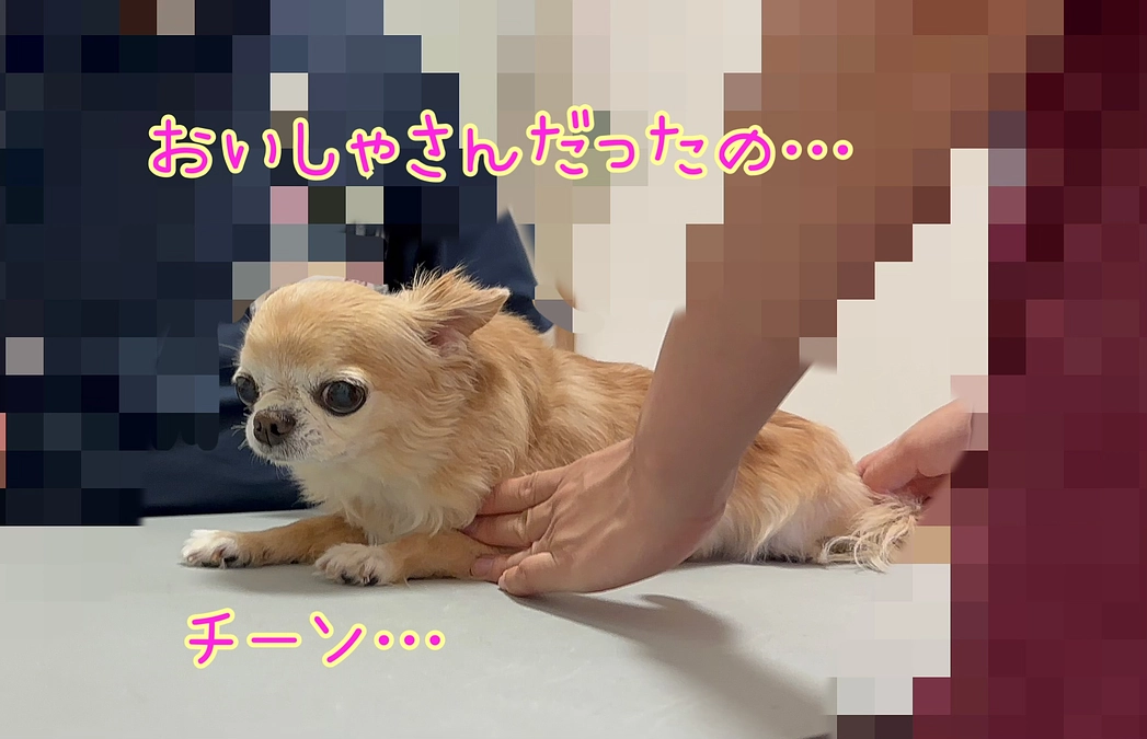 頑張ってくれて…ありがとう…