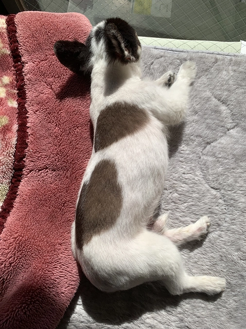 あまり寝れない日々。