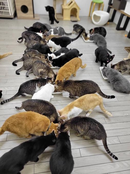 自問自答の日々…　残り12日しかありません…