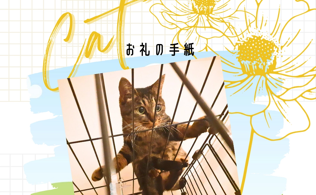 毎月500円ご支援　シンデレラサポーター