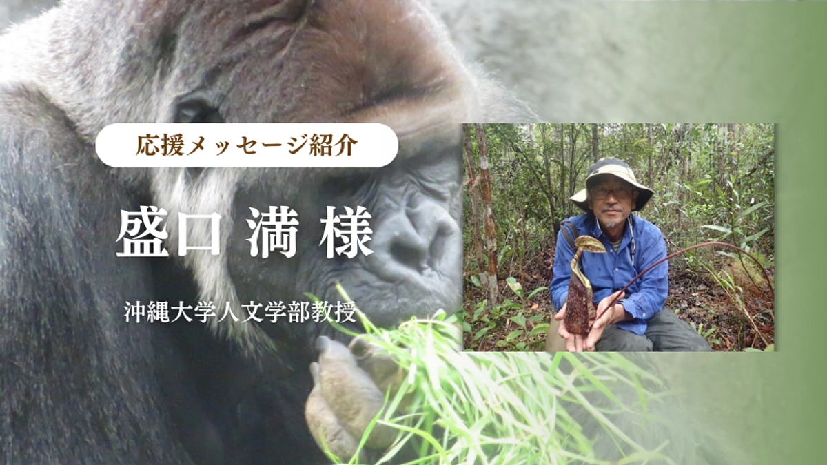 沖縄大学人文学部教授 盛口 満様からの応援メッセージのご紹介