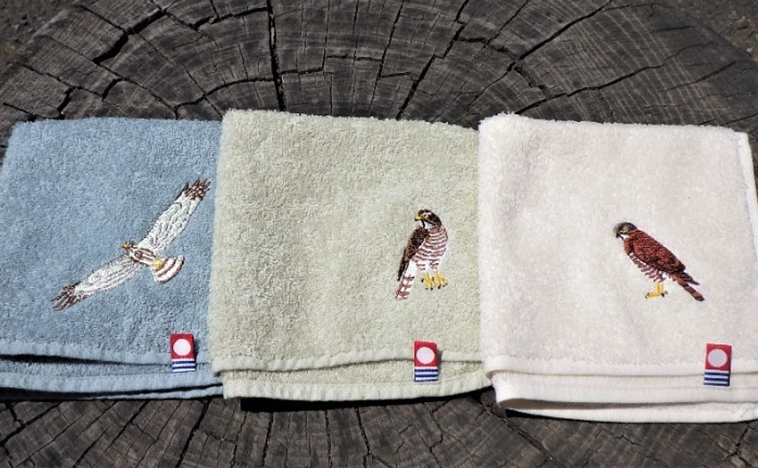 【7/26追加】サシバのタオル（1つ選択）コース｜12,000円