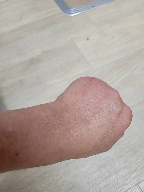 猫も必死ですが私も必死な日々