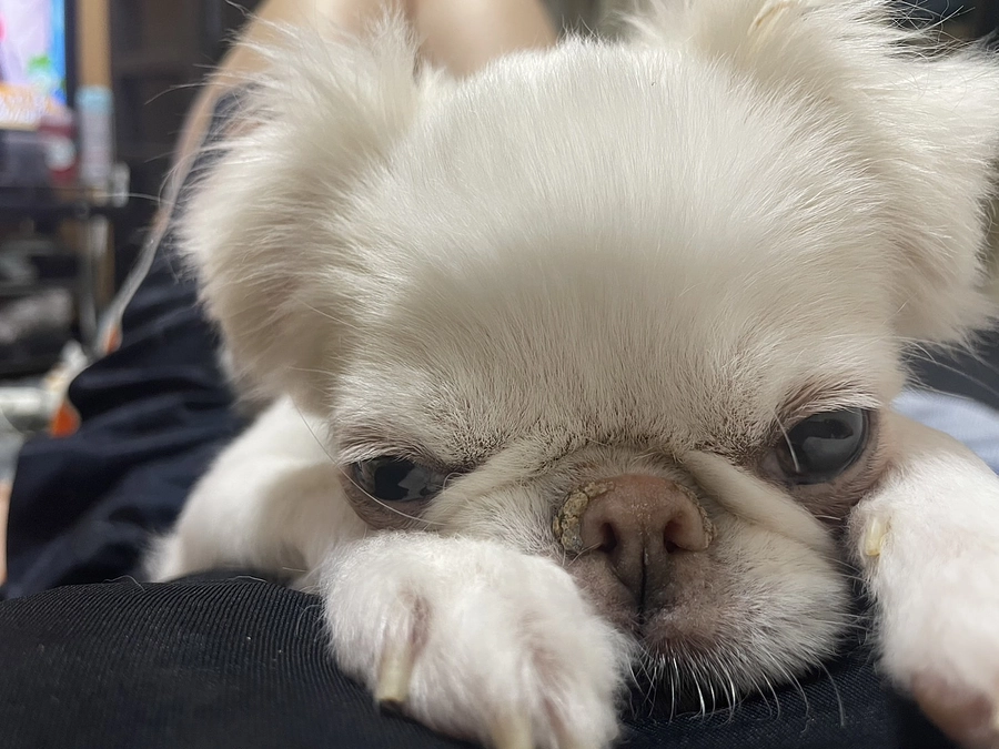 残り39日✊‼️