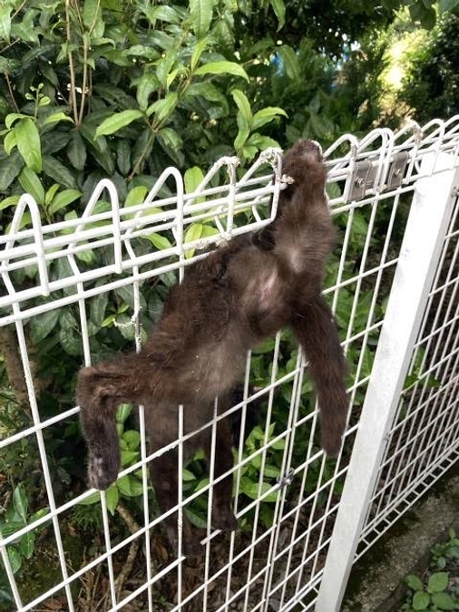 挑戦10日目‼️