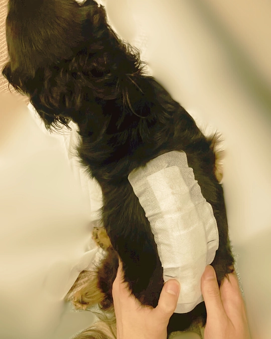 闘病記録【命の境界線を越えて】（追記）