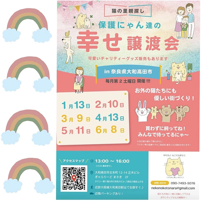 本日は保護猫さんたちの譲渡会です❣️