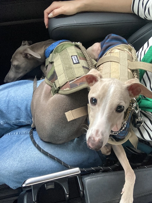 私の想いを聞いて下さい