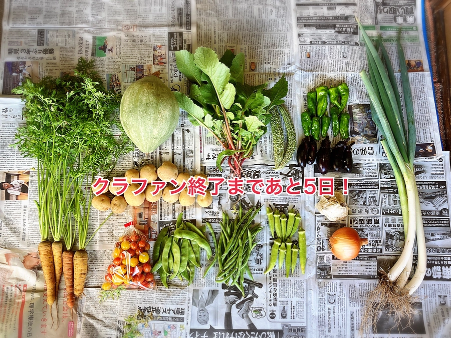 クラウドファンディング終了まで、あと5日！