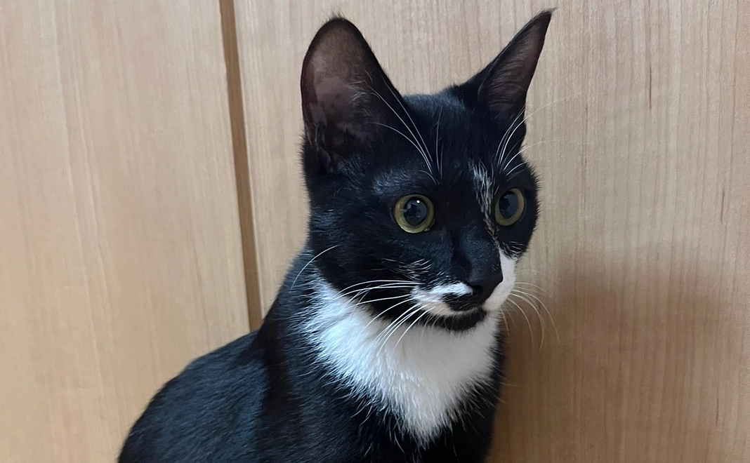 全力応援コース!7,000円