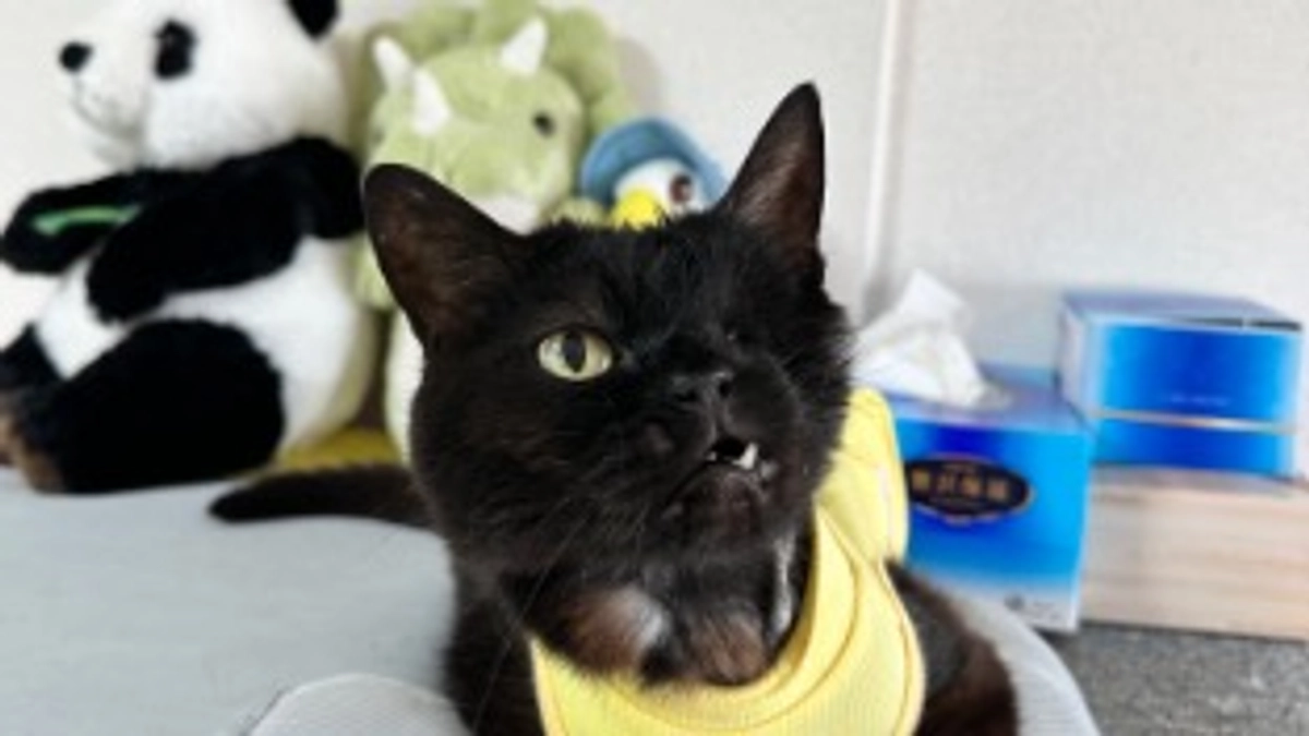 残り15日！半月となりました。