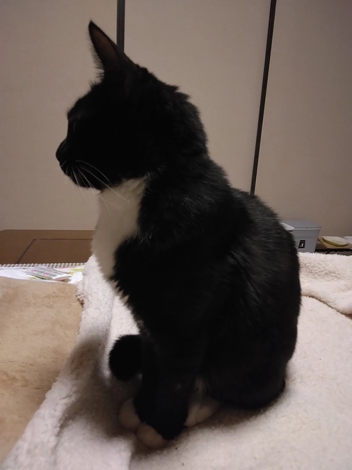 2/12はなちゃんの様子