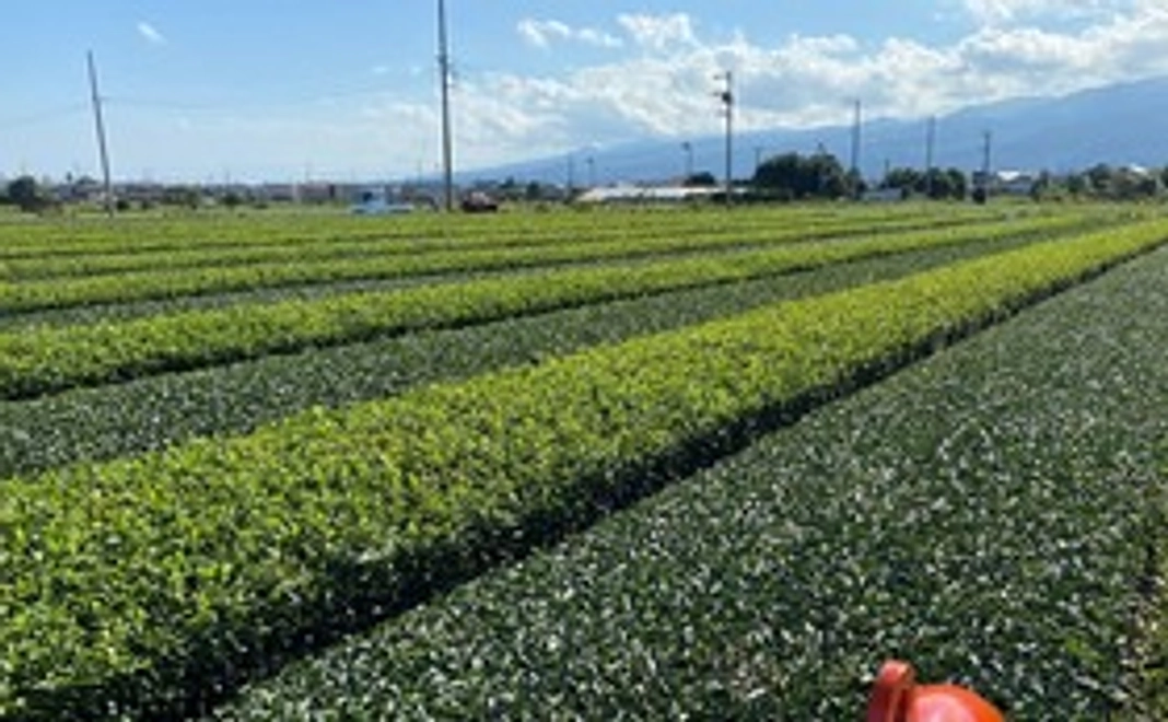 感謝のメールと活動報告