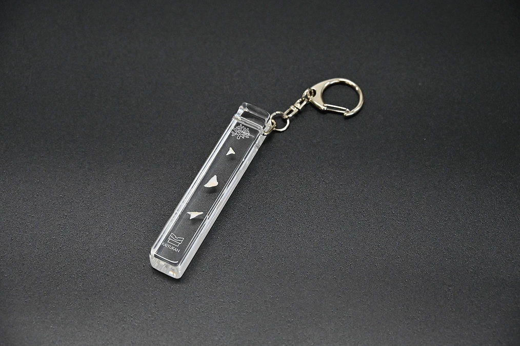 【返礼品紹介③】サメサメキーホルダー編