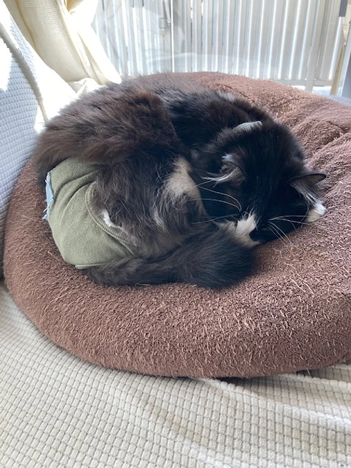 我が家の高級ティッシュ