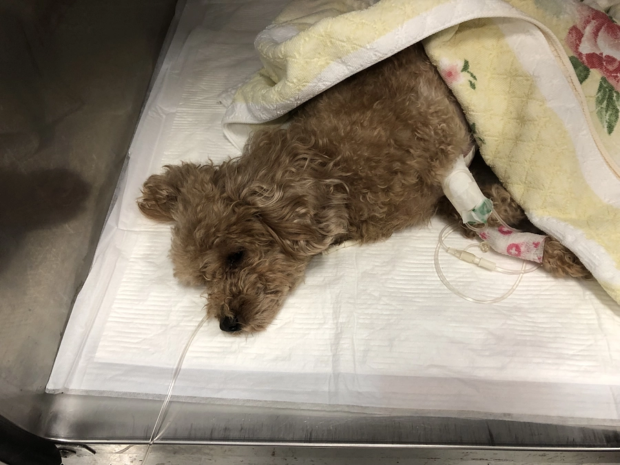 72時間を経過できました！