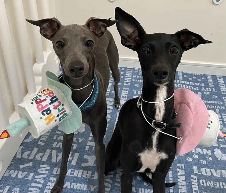 皆さまのサポートのおかげで✨