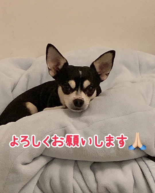 初の動画投稿🎥