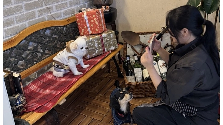 熱海でペットとご飯が食べれるカフェ&ダイナーをオープンしたい! 2枚目