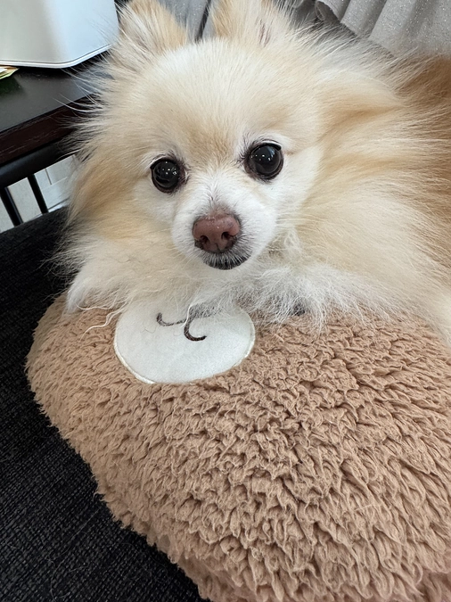 今日のちゅらです😊