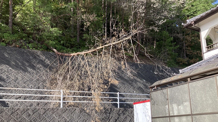 管理不十分な山林による災害から住民を守りたい