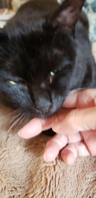 昨日夜と朝のお薬