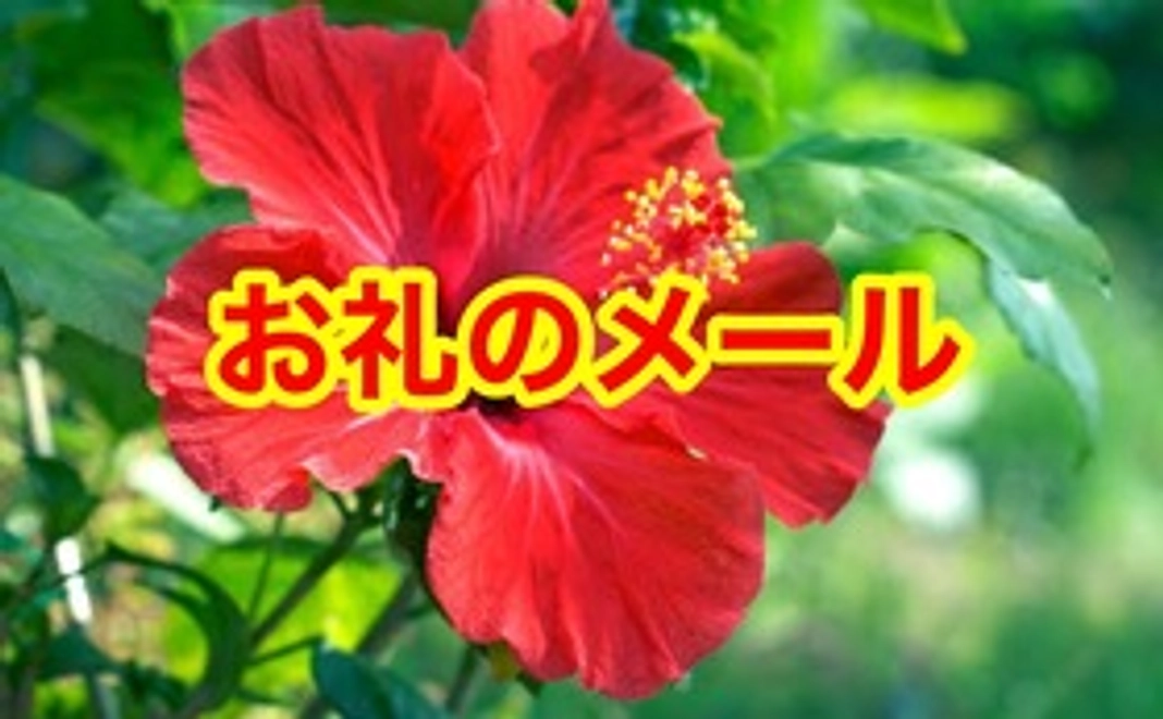 お礼のメール(3000円)