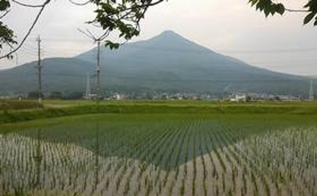 ≪READYFOR支援者様限定≫昼食付き「能に親しむ会」特別席にご招待