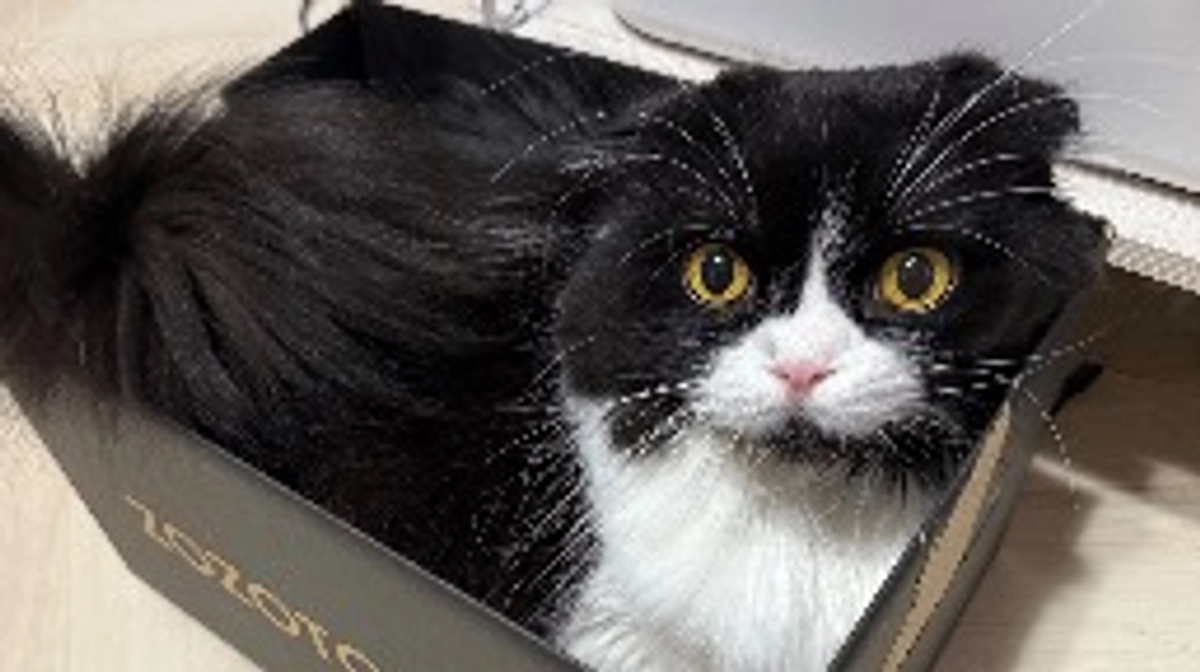 プロジェクト終了まであと4時間きりました