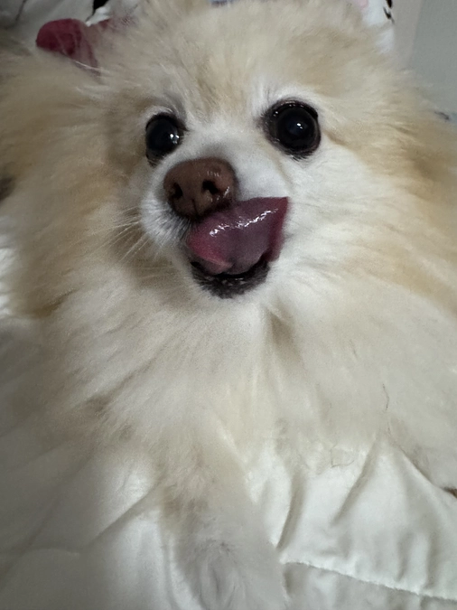 残り5日！達成率27%！残り138万4000円必要な状況です。