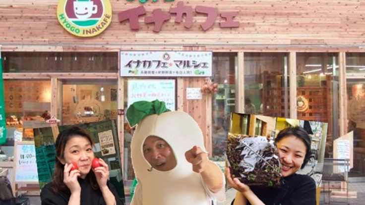 兵庫県産を使った、Ikomaクッキングスタジオリニュアルオープン