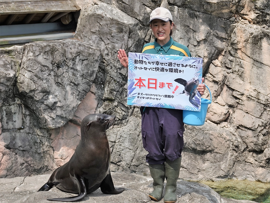 オットセイに快適な環境を！【本日最終日！！】